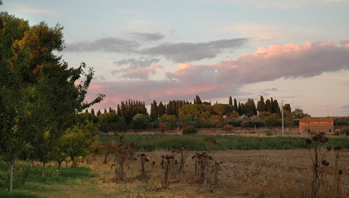 Villa in vendita strada provinciale Montarozzi Marina, Tarquinia (VT)