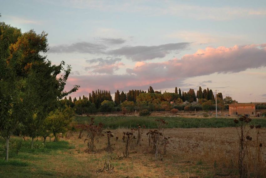 Villa in vendita strada provinciale Montarozzi Marina, Tarquinia (VT)