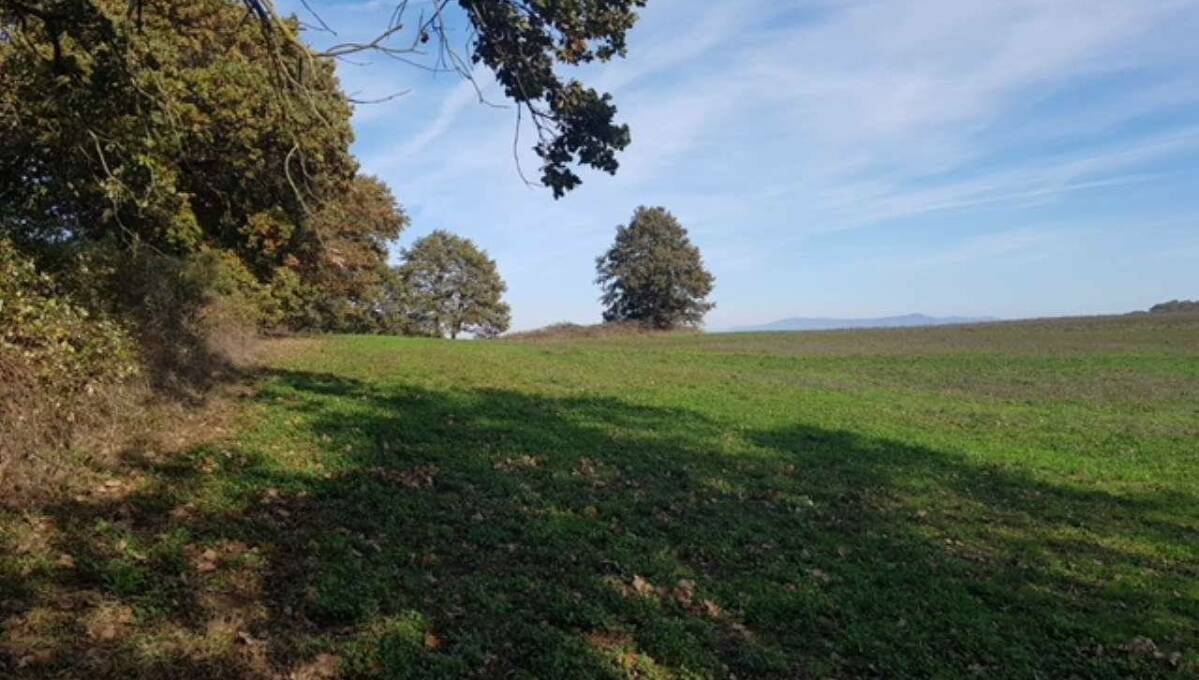 Terreno agricolo in vendita contrada 10 km sopra Orvieto, Orvieto(TR)