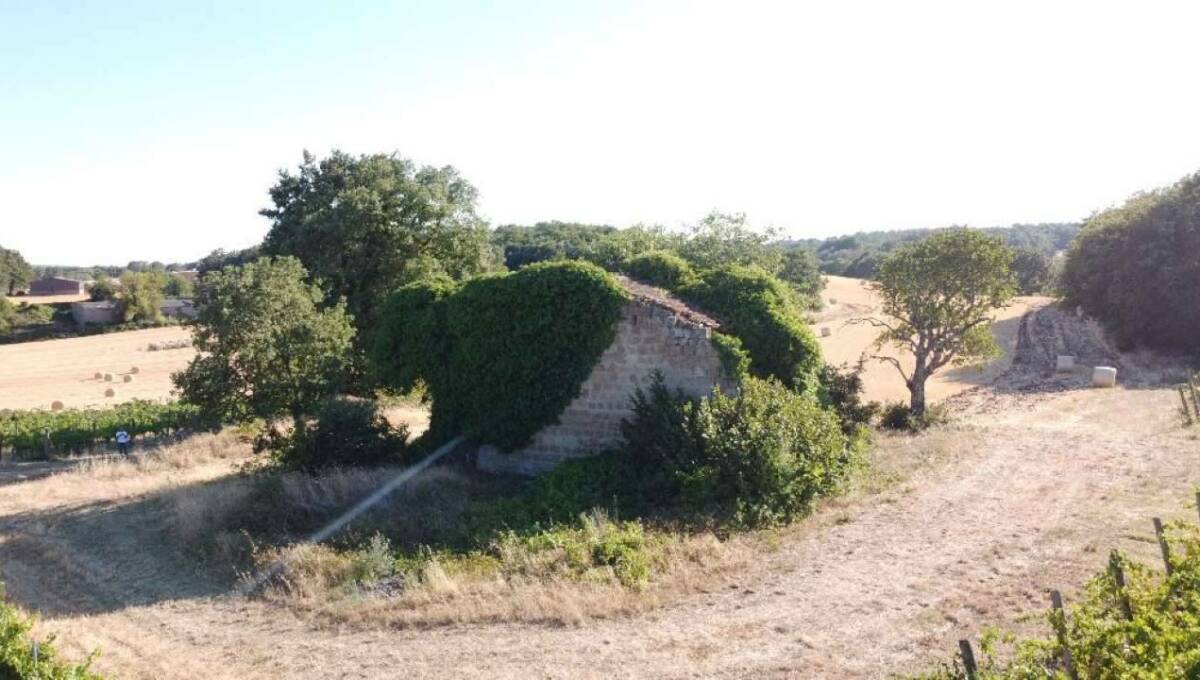 Terreno agricolo in vendita contrada 10 km sopra Orvieto, Orvieto(TR)