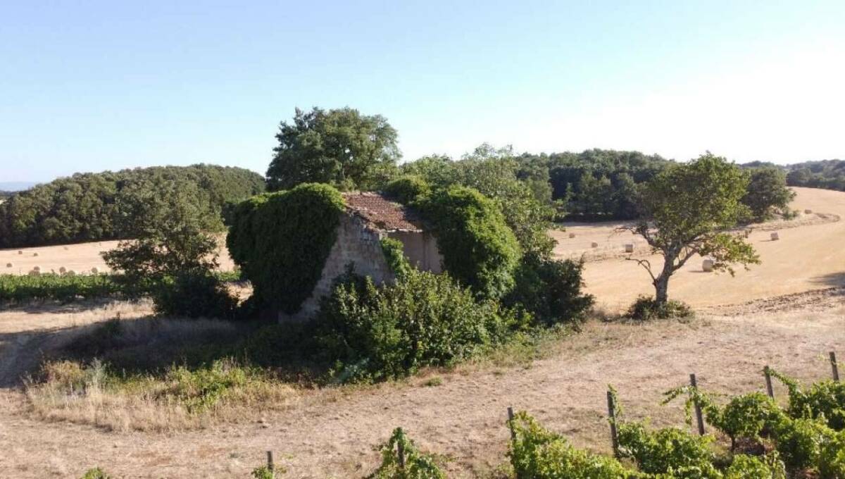 Terreno agricolo in vendita contrada 10 km sopra Orvieto, Orvieto(TR)