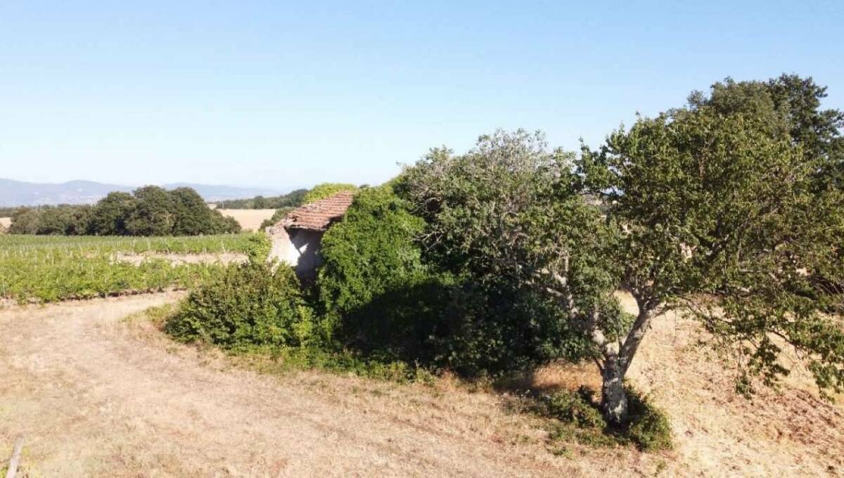 Terreno agricolo in vendita contrada 10 km sopra Orvieto, Orvieto(TR)