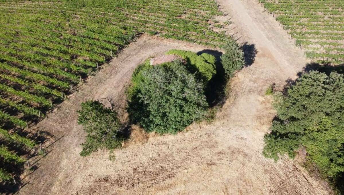 Terreno agricolo in vendita contrada 10 km sopra Orvieto, Orvieto(TR)