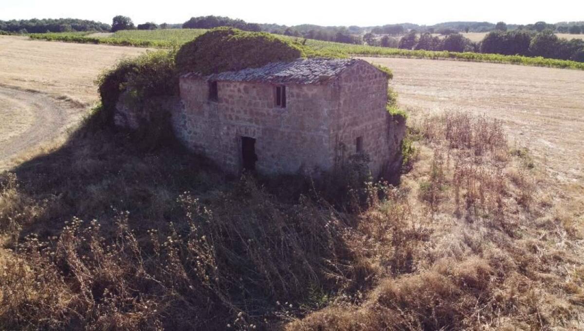 Terreno agricolo in vendita contrada 10 km sopra Orvieto, Orvieto(TR)