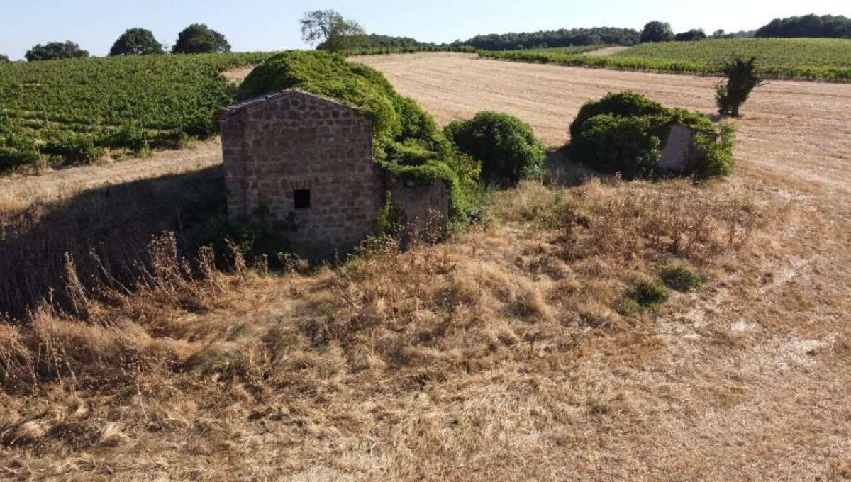 Terreno agricolo in vendita contrada 10 km sopra Orvieto, Orvieto(TR)