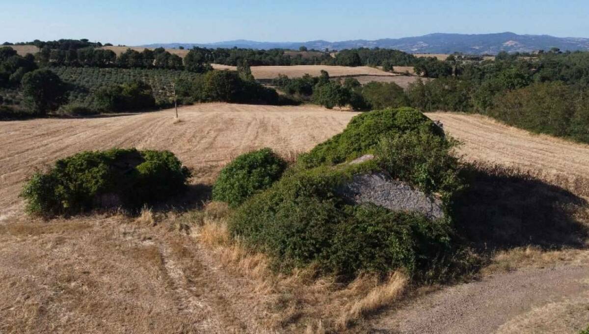 Terreno agricolo in vendita contrada 10 km sopra Orvieto, Orvieto(TR)