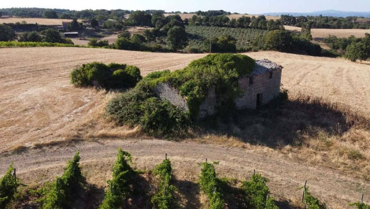 Terreno agricolo in vendita contrada 10 km sopra Orvieto, Orvieto(TR)