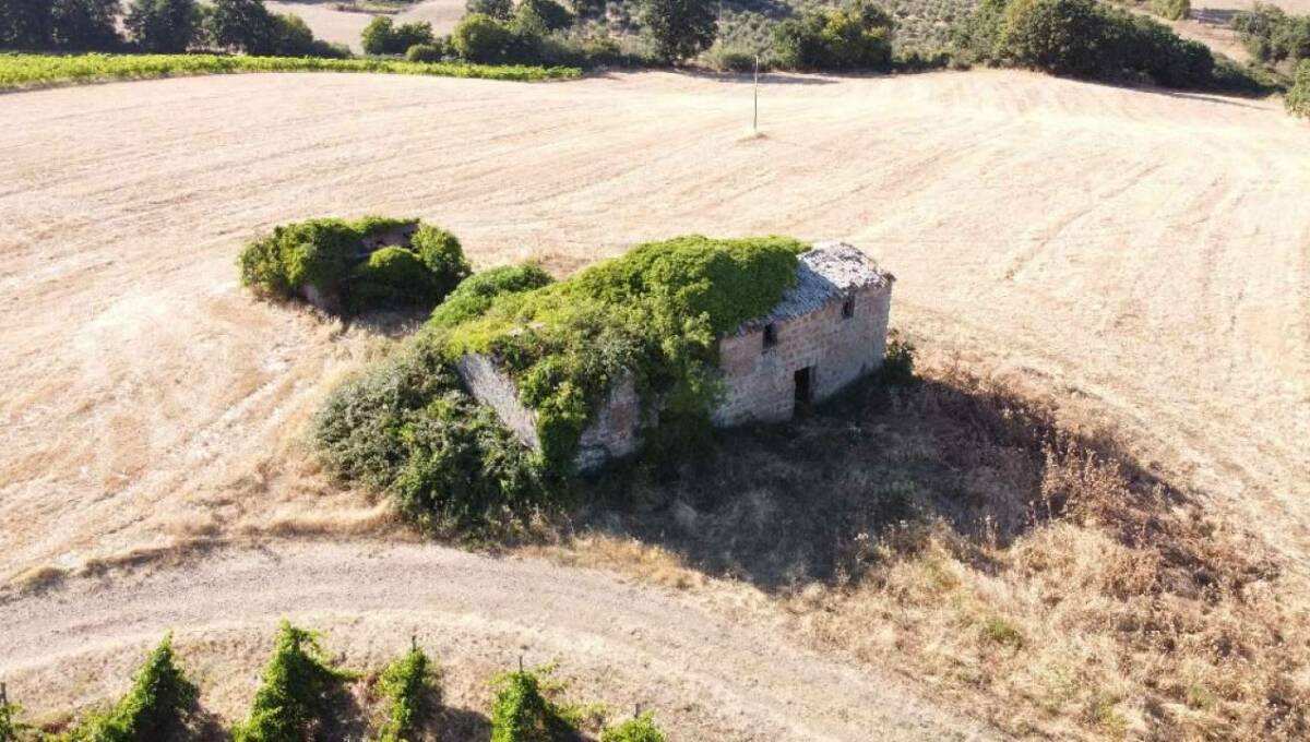 Terreno agricolo in vendita contrada 10 km sopra Orvieto, Orvieto(TR)