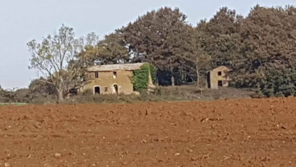 Terreno agricolo in vendita contrada 10 km sopra Orvieto, Orvieto(TR)