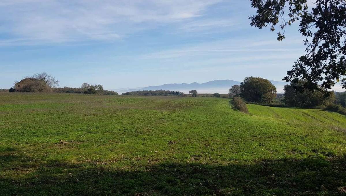 Terreno agricolo in vendita contrada 10 km sopra Orvieto, Orvieto(TR)