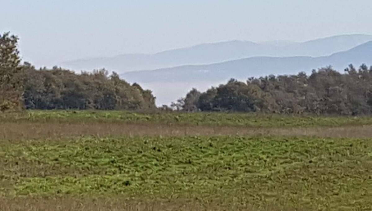 Terreno agricolo in vendita contrada 10 km sopra Orvieto, Orvieto(TR)