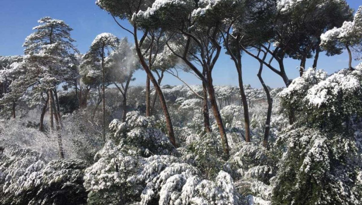 Appartamento in vendita via Salaria, Roma