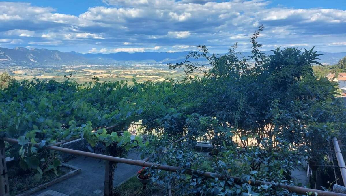 Cielo terra in vendita via del Pellegrino, Capitone, Narni