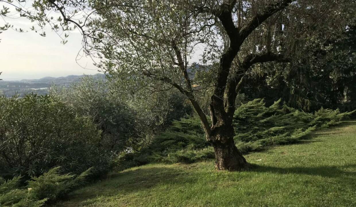 Villa in vendita via Gian Battista Inga, Roè Volciano