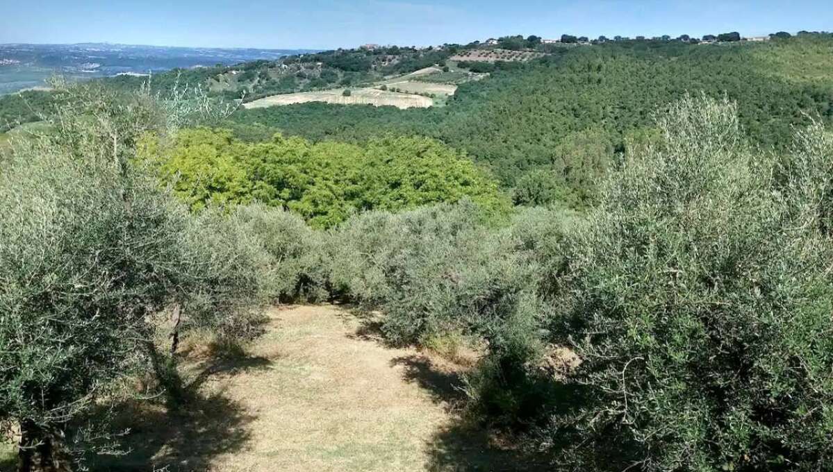 Casa indipendente in vendita via Fosso di Giove, Penna in Teverina (TR)