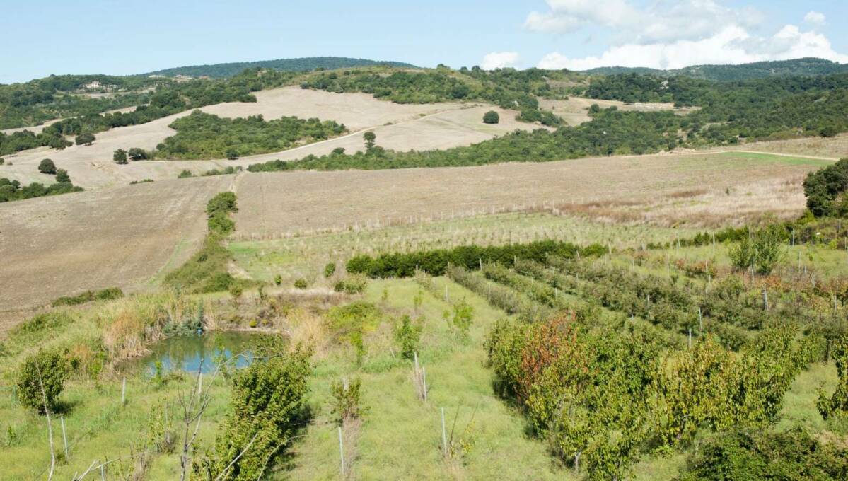 Villa a schiera in vendita via Monte li Pozzi, Cerveteri