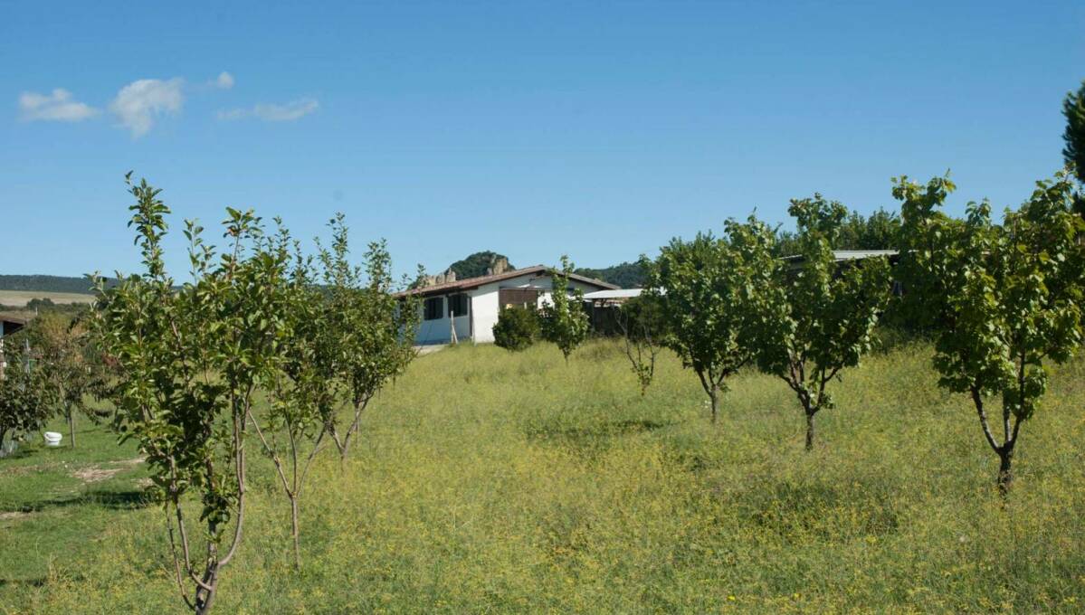 Villa a schiera in vendita via Monte li Pozzi, Cerveteri