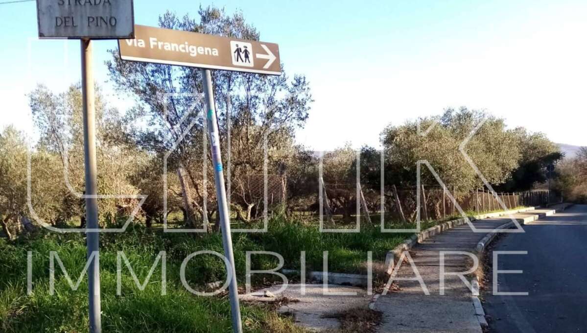 Terreno in vendita Strada del Giardino, Vetralla