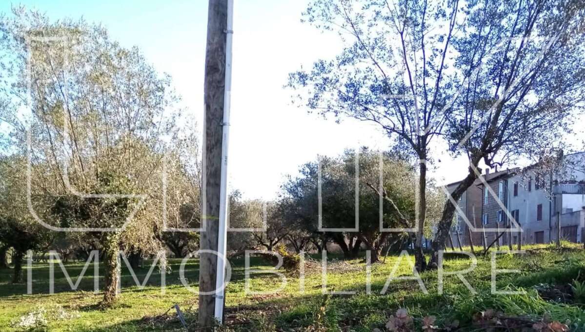 Terreno in vendita Strada del Giardino, Vetralla