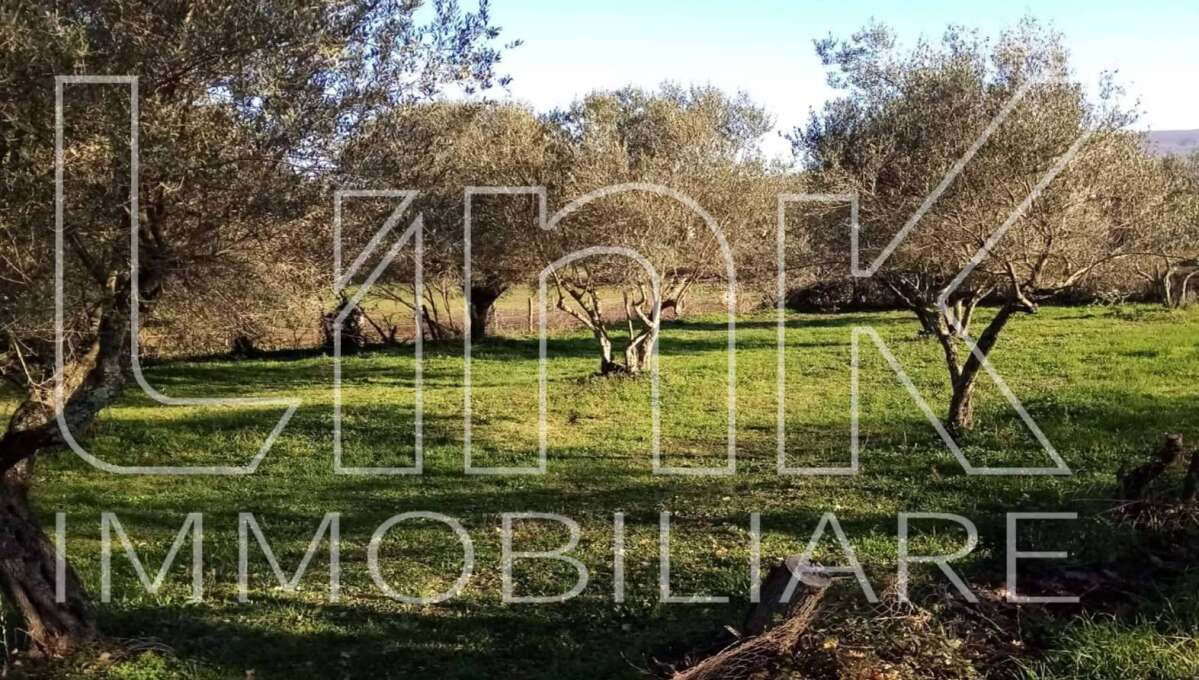 Terreno in vendita Strada del Giardino, Vetralla