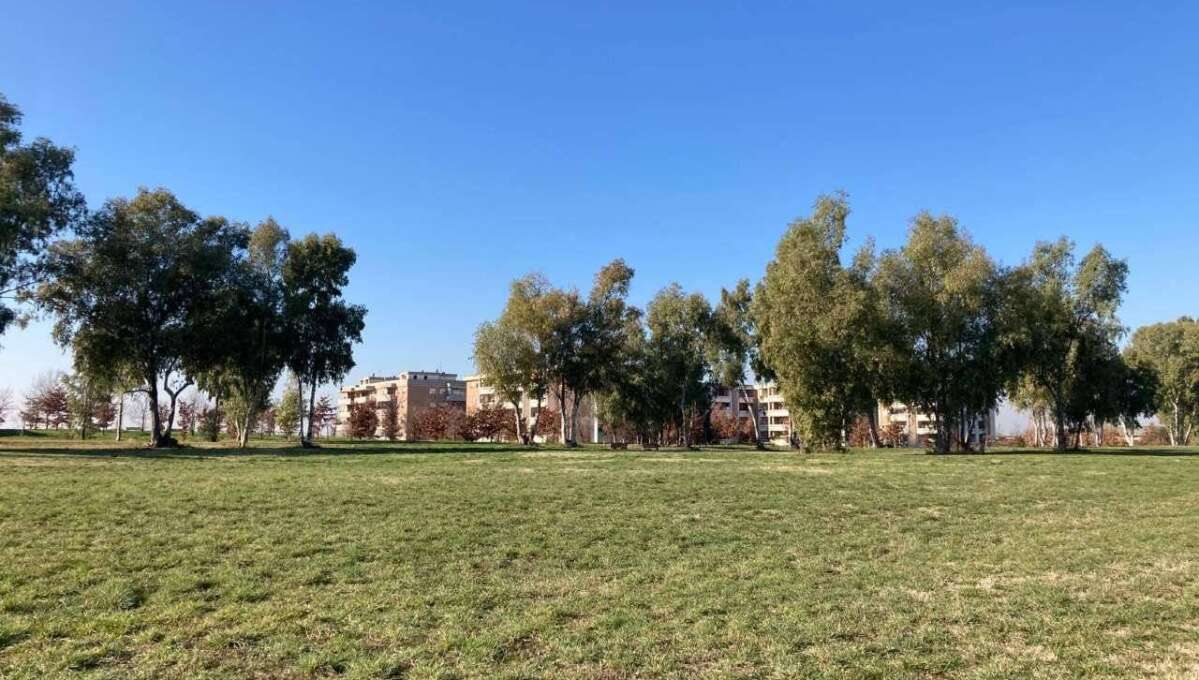 Terreno edificabile in vendita via Francesco Caltagirone, Roma