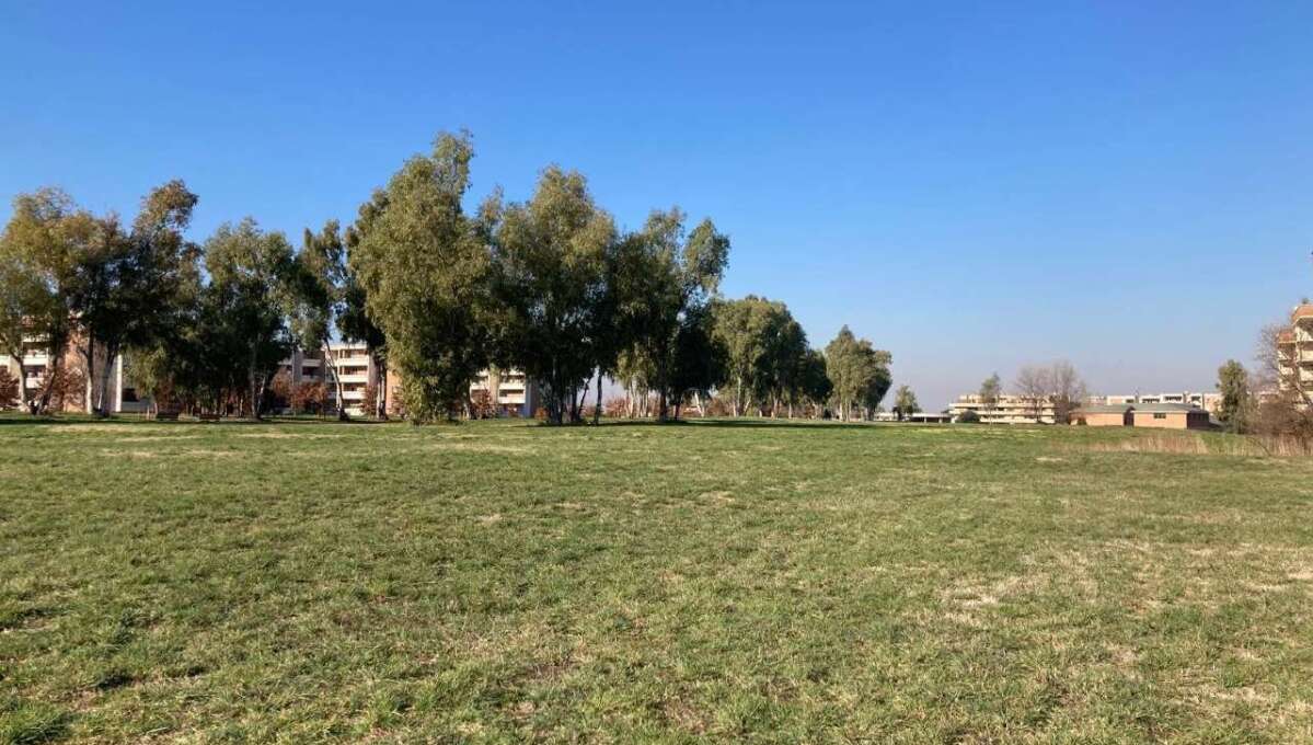 Terreno edificabile in vendita via Francesco Caltagirone, Roma