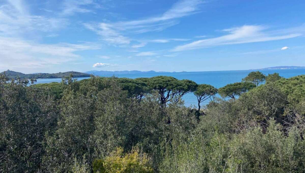 Appartamento in affitto stagionale via delle Sughere, Castiglione della Pescaia (GR)