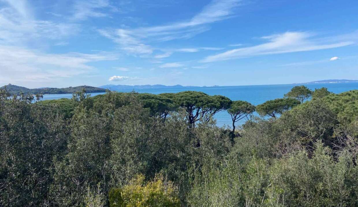 Appartamento in affitto stagionale via delle Sughere, Castiglione della Pescaia (GR)