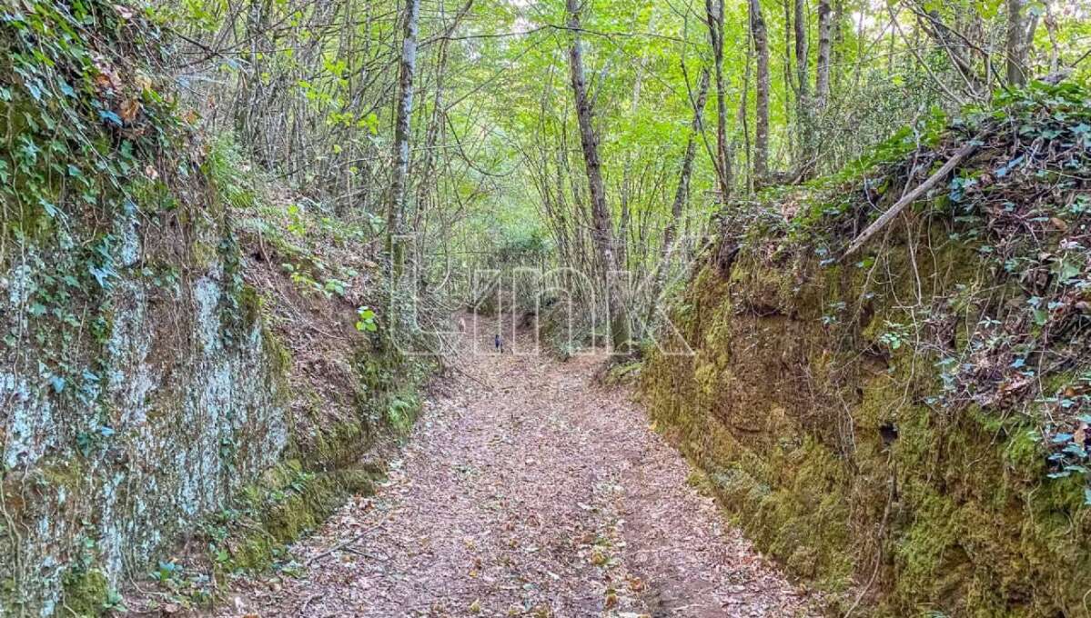 Agriturismo in vendita Località Montefosco, Sutri