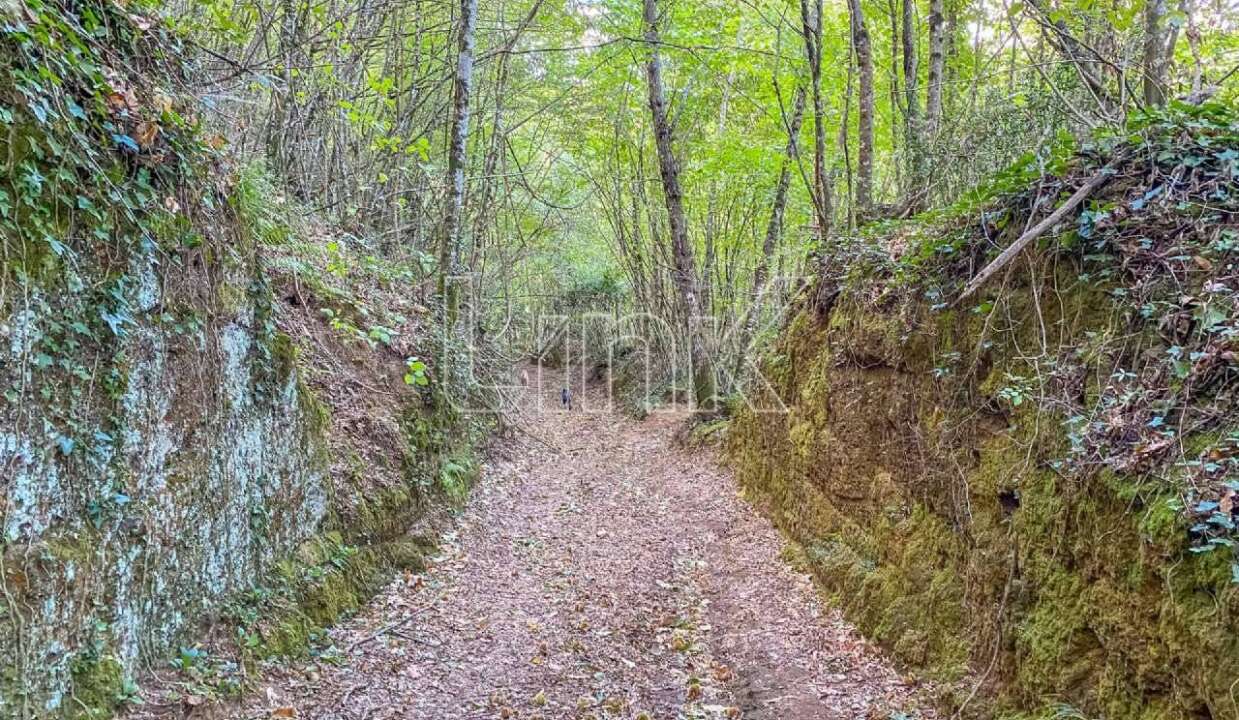 Agriturismo in vendita Località Montefosco, Sutri