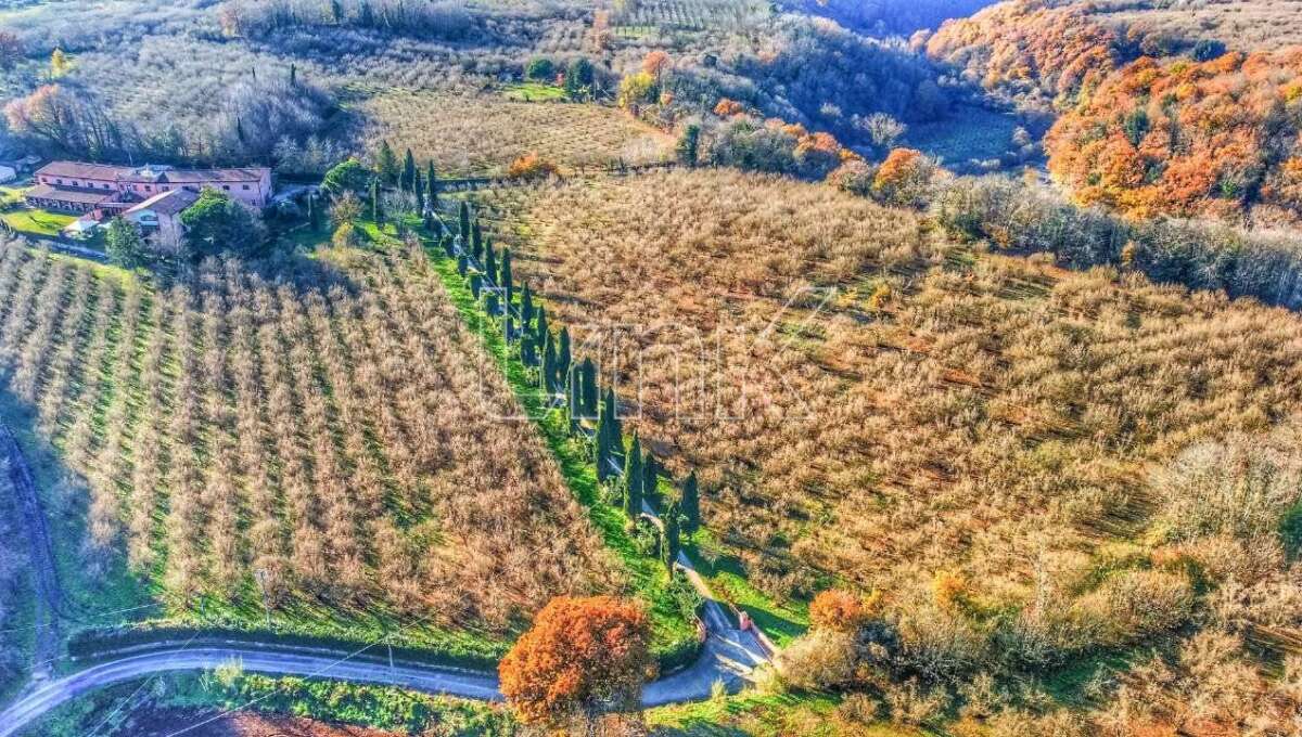 Agriturismo in vendita Località Montefosco, Sutri