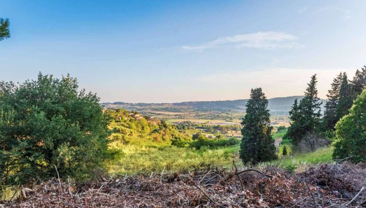 Terreno edificabile in vendita via Cavolelli, Campagnano di Roma