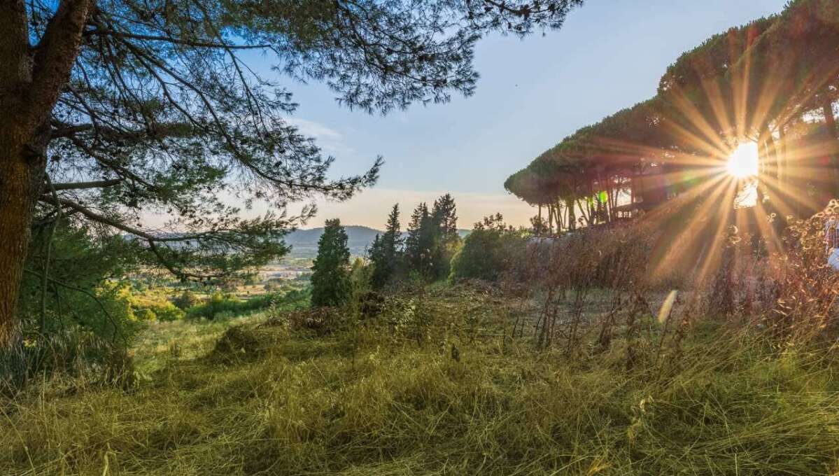 Terreno edificabile in vendita via Cavolelli, Campagnano di Roma