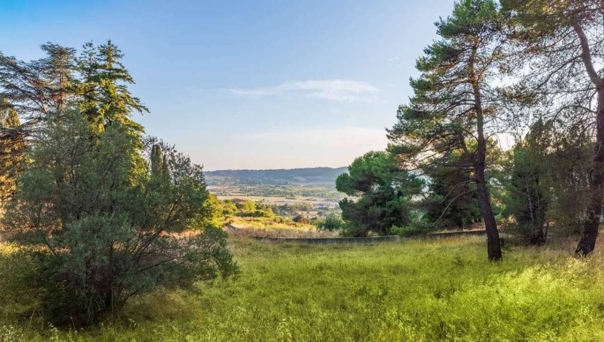 Terreno edificabile in vendita via Cavolelli, Campagnano di Roma