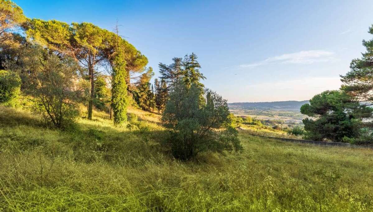 Terreno edificabile in vendita via Cavolelli, Campagnano di Roma