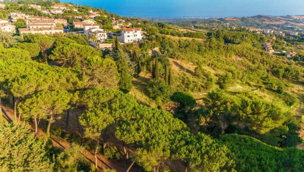 Terreno edificabile in vendita via Cavolelli, Campagnano di Roma