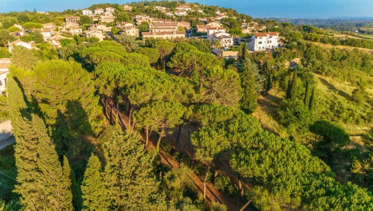 Terreno edificabile in vendita via Cavolelli, Campagnano di Roma