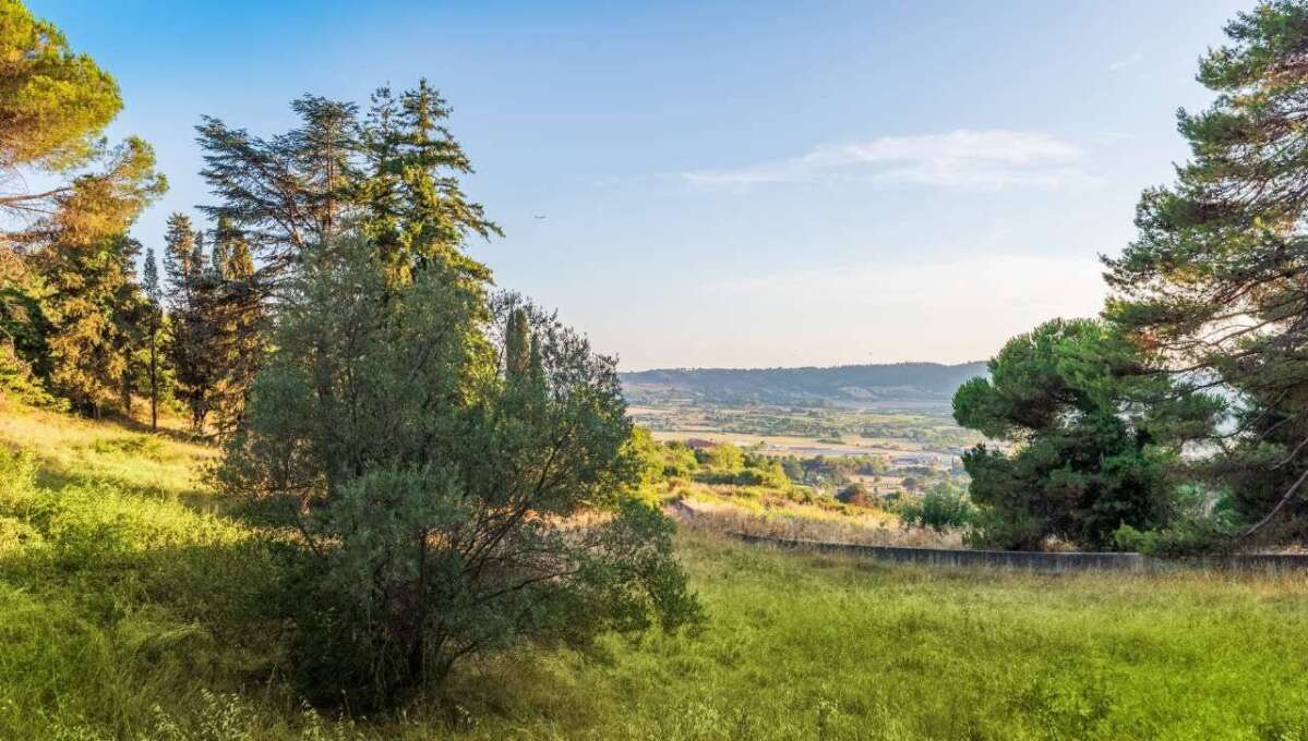 Terreno edificabile in vendita via Cavolelli, Campagnano di Roma