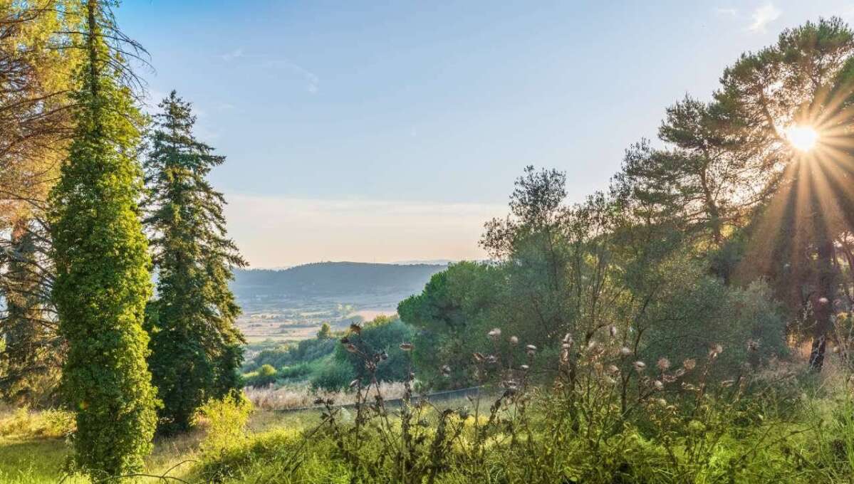 Terreno edificabile in vendita via Cavolelli, Campagnano di Roma