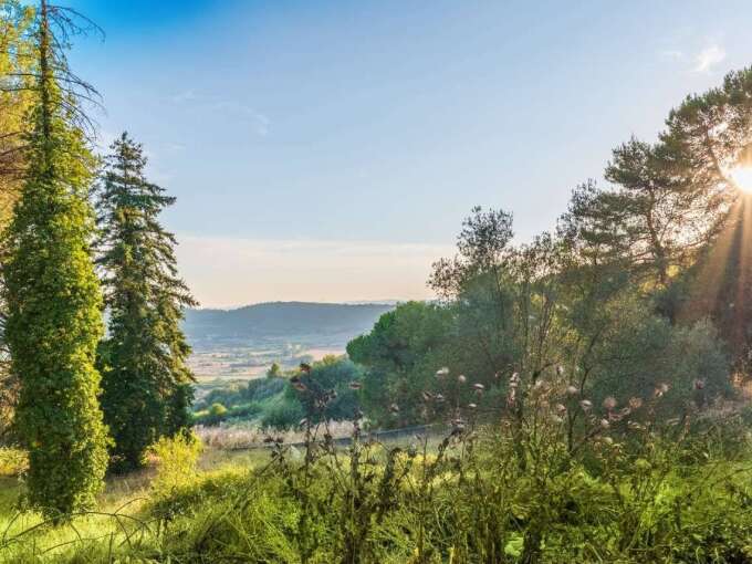 Terreno edificabile in vendita via Cavolelli, Campagnano di Roma