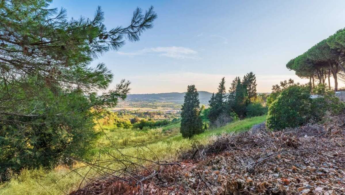 Terreno edificabile in vendita via Cavolelli, Campagnano di Roma