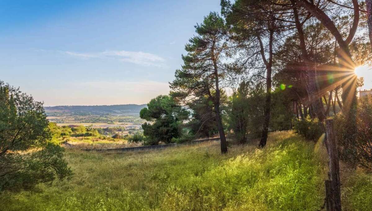 Terreno edificabile in vendita via Cavolelli, Campagnano di Roma