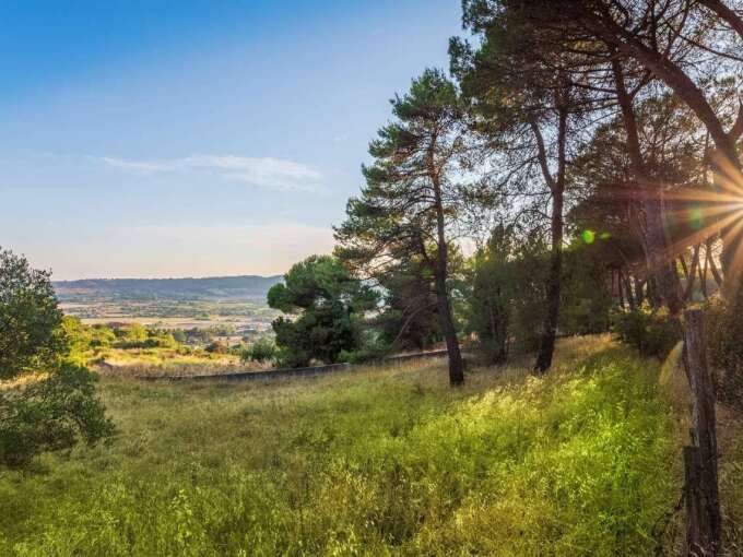 Terreno edificabile in vendita via Cavolelli, Campagnano di Roma