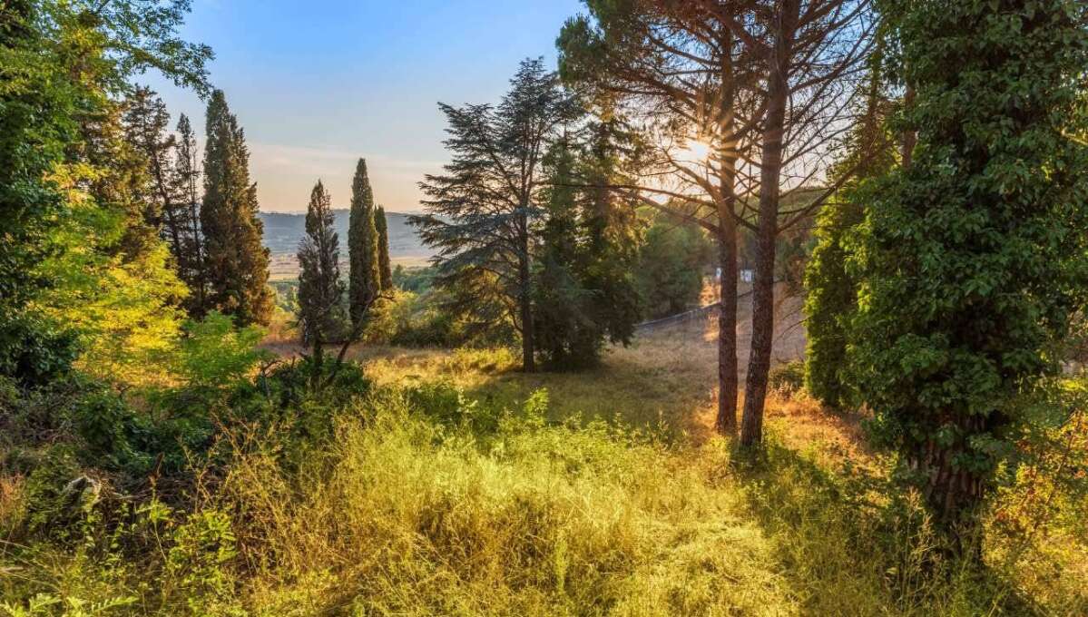 Terreno edificabile in vendita via Cavolelli, Campagnano di Roma