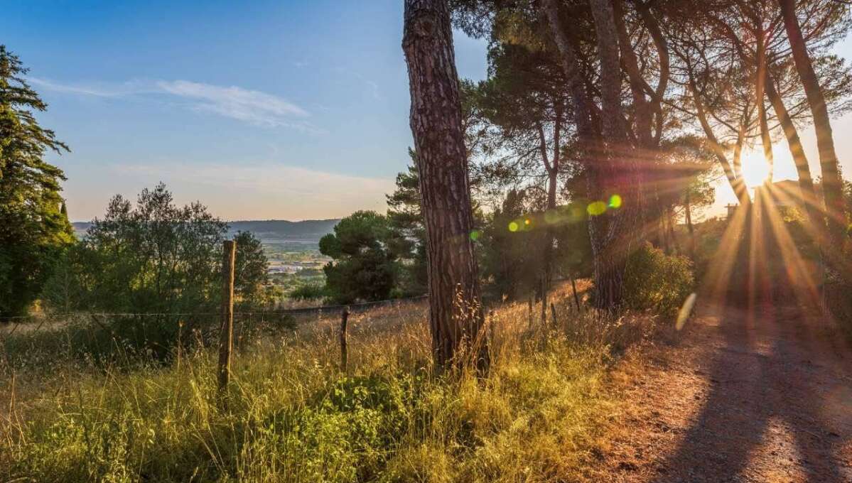 Terreno edificabile in vendita via Cavolelli, Campagnano di Roma