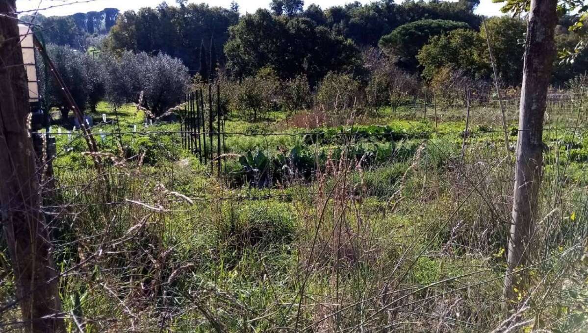 Terreno agricolo Localita’ Mazzocchio Alto, Vetralla