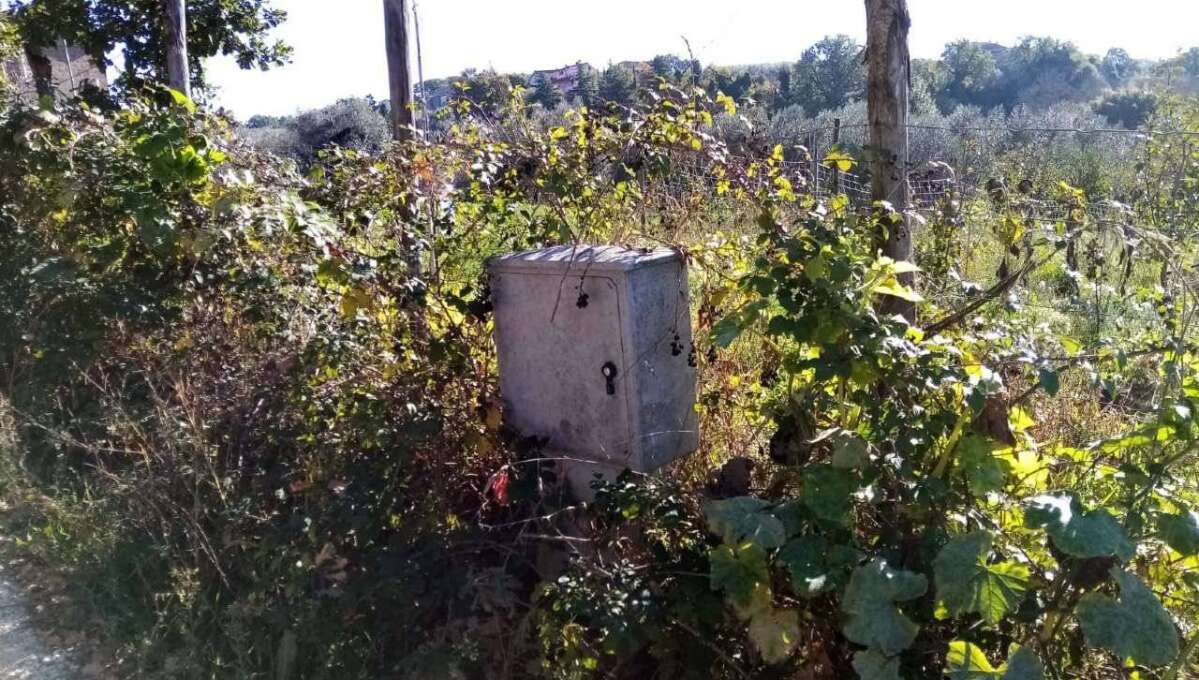 Terreno agricolo Localita’ Mazzocchio Alto, Vetralla