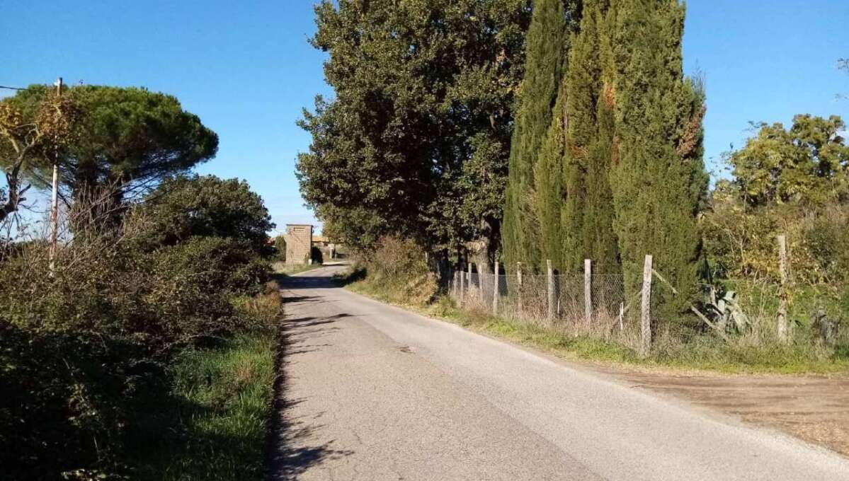 Terreno agricolo Localita’ Mazzocchio Alto, Vetralla