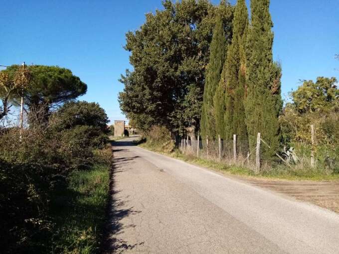 Terreno agricolo Localita’ Mazzocchio Alto, Vetralla