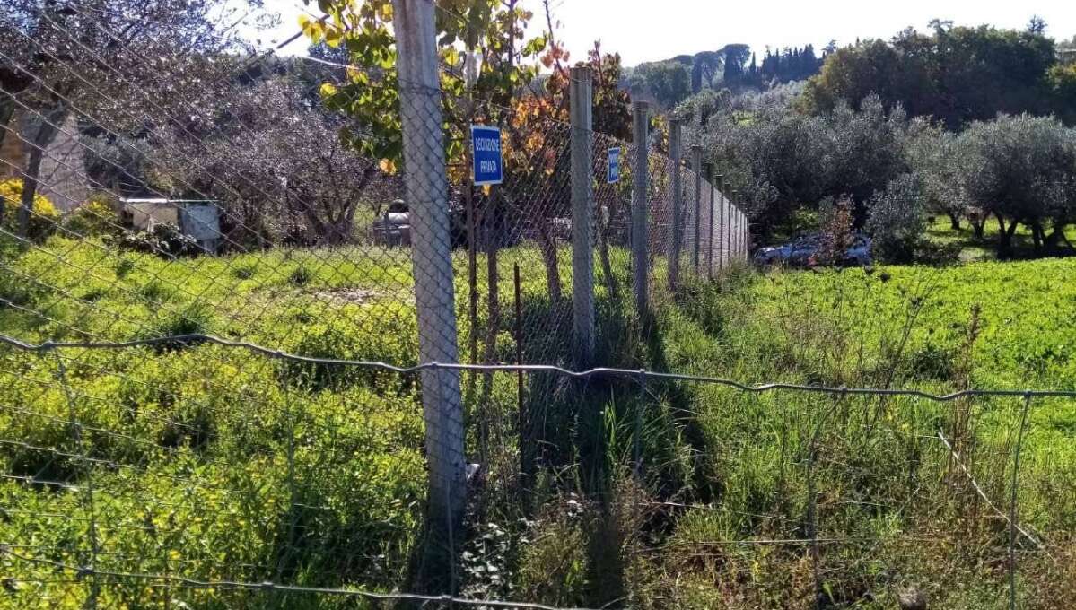 Terreno agricolo Localita’ Mazzocchio Alto, Vetralla